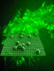 Green nanotechnology sustainable